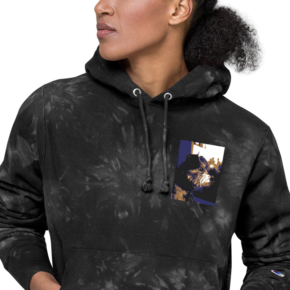 Unisex Champion tie-dye Niko hoodie - Belle Donne Clothing & Accessories