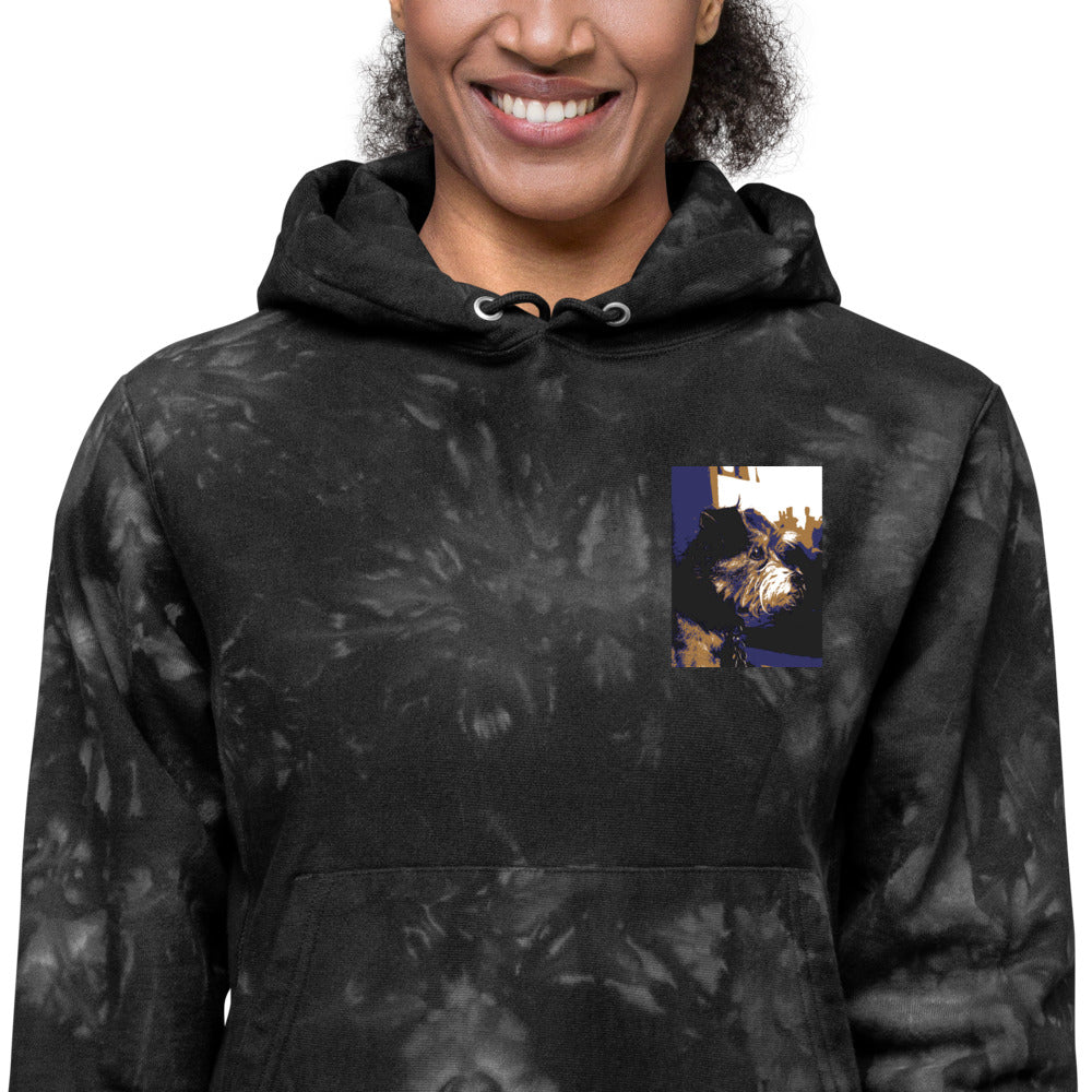 Unisex Champion tie-dye Niko hoodie - Belle Donne Clothing & Accessories