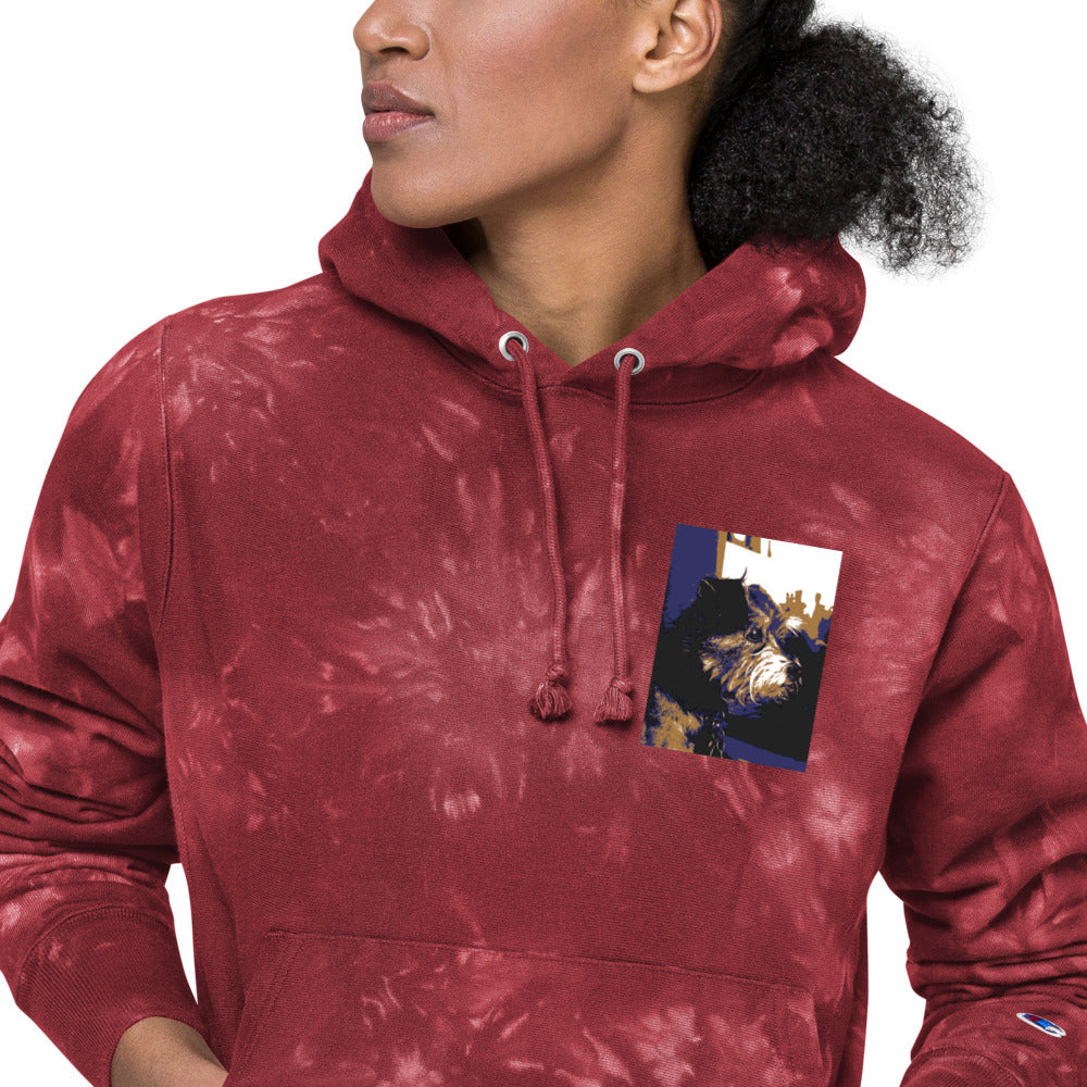 Unisex Champion tie-dye Niko hoodie - Belle Donne Clothing & Accessories