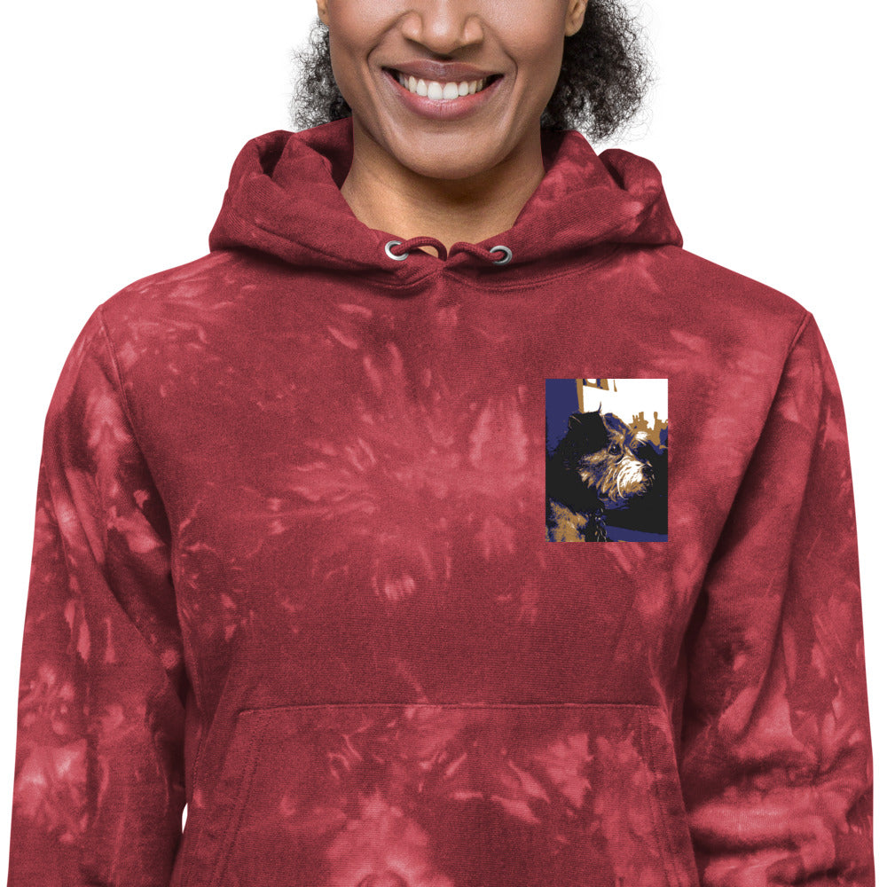 Unisex Champion tie-dye Niko hoodie - Belle Donne Clothing & Accessories