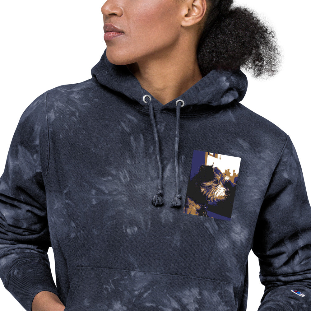 Unisex Champion tie-dye Niko hoodie - Belle Donne Clothing & Accessories