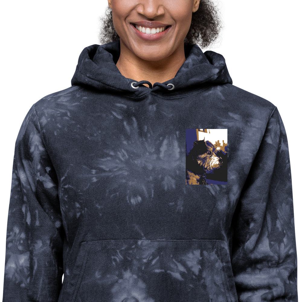 Unisex Champion tie-dye Niko hoodie - Belle Donne Clothing & Accessories